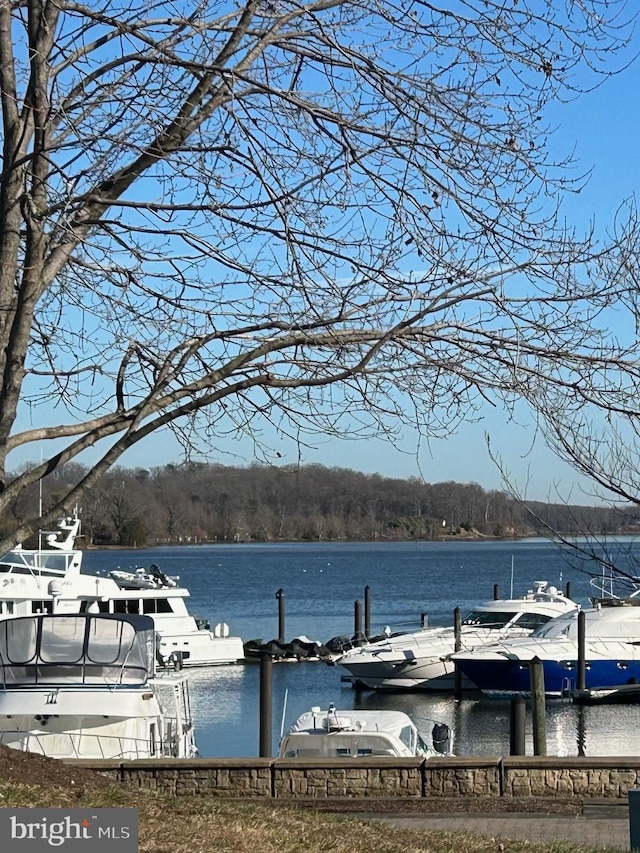 820 Belmont Bay Dr Unit 405, Woodbridge, VA 22191 - dock area with a water view