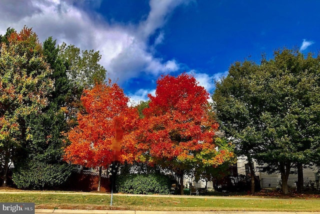 820 Belmont Bay Dr Unit 405, Woodbridge, VA 22191 - view of community featuring a lawn