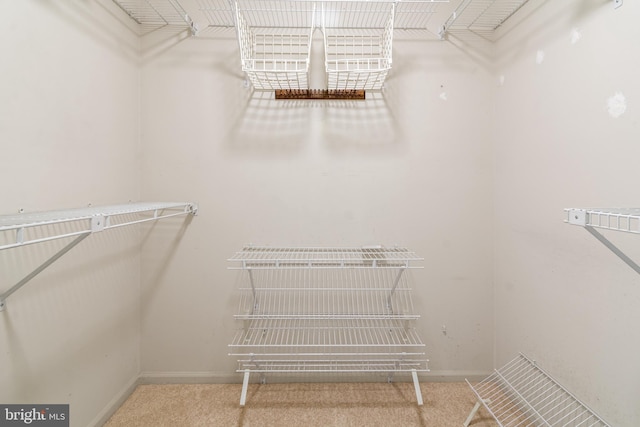 8005 Hillrise Ct, Elkridge, MD 21075 - view of walk in closet
