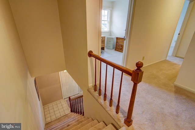 stairway featuring carpet floors