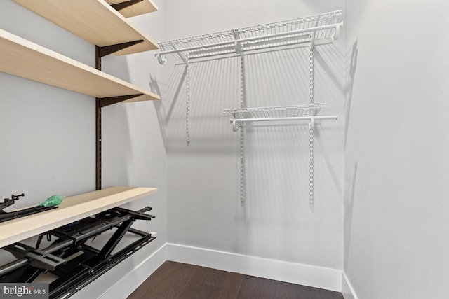 walk in closet featuring dark wood-style floors