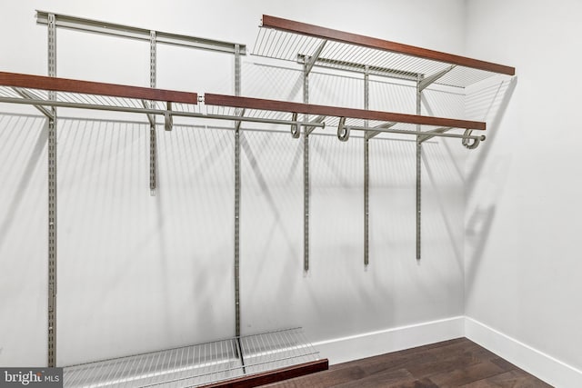 spacious closet with dark wood-style flooring
