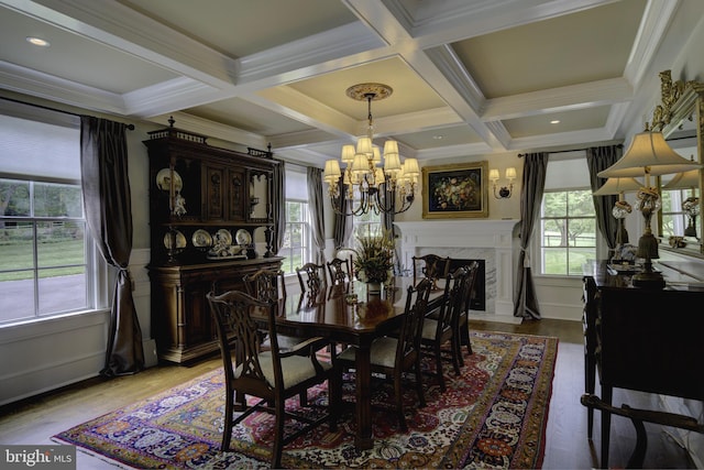 dining room with an inviting chandelier, light wood-style floors, and a healthy amount of sunlight