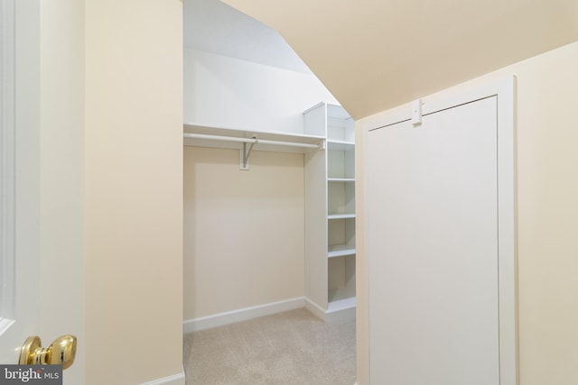 spacious closet with carpet flooring