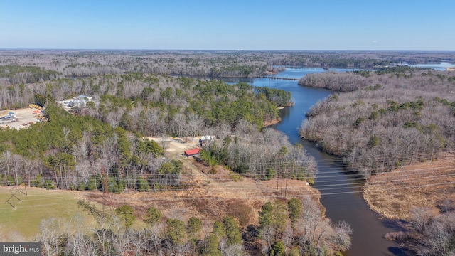 birds eye view of property with a view of trees and a water view