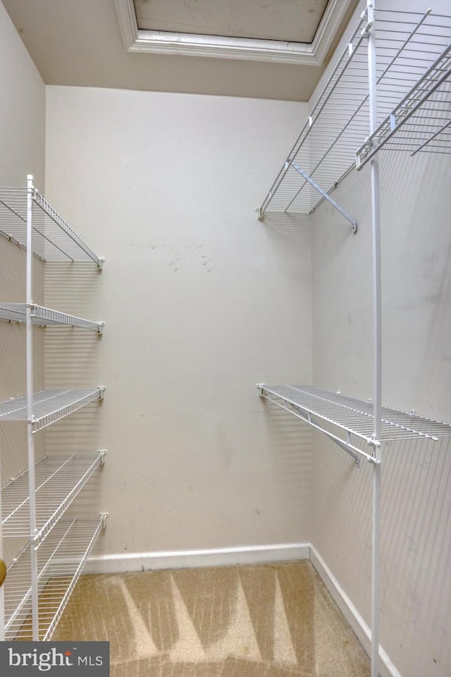 11 Marina View Ct Unit A-6, Bethany Beach, DE 19930 - spacious closet featuring carpet flooring