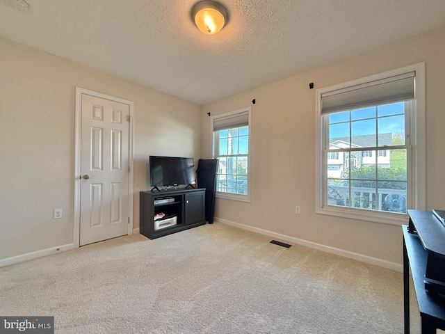 sitting room with a textured ceiling, baseboards, carpet, and a healthy amount of sunlight