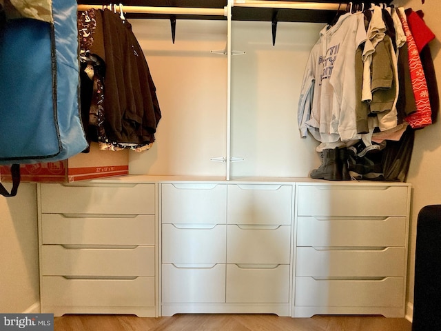 spacious closet featuring light wood-type flooring