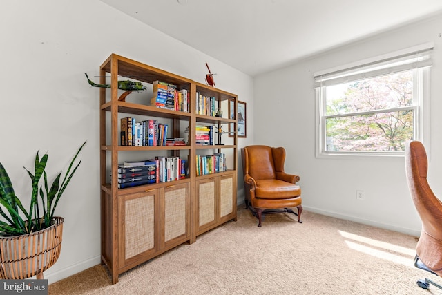 living area featuring baseboards and light carpet