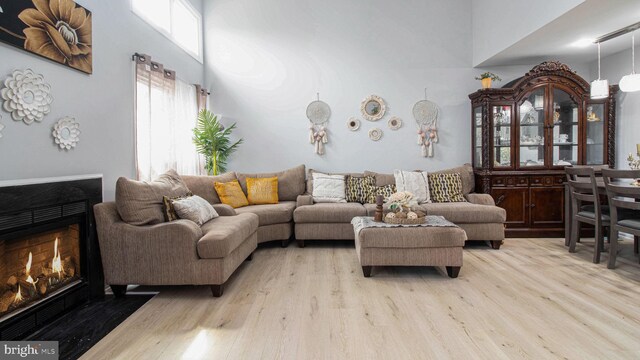 46932 Trumpet Cir, Sterling, VA 20164 - living area with light wood-type flooring