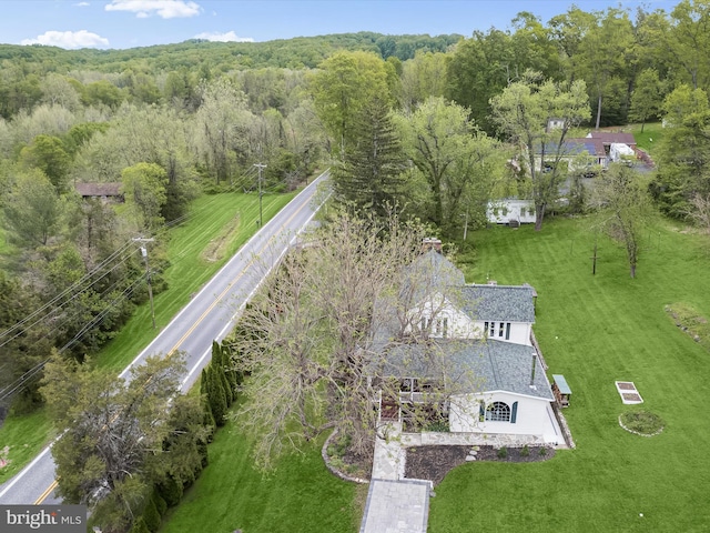 12943 Harford Rd, Hydes, MD 21082 - view of subject property featuring a forest