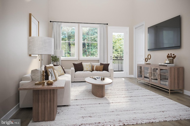 living room featuring baseboards and wood finished floors