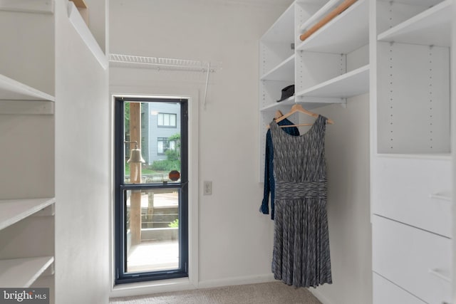 3 Spa Creek Lndg Unit A, Annapolis, MD 21403 - walk in closet with carpet flooring