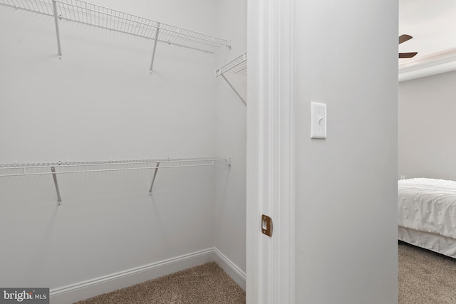 spacious closet with a ceiling fan and carpet
