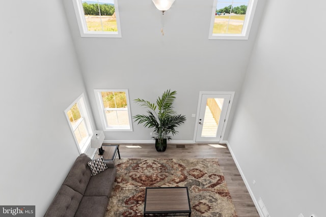 entrance foyer with baseboards, plenty of natural light, wood finished floors, and a towering ceiling