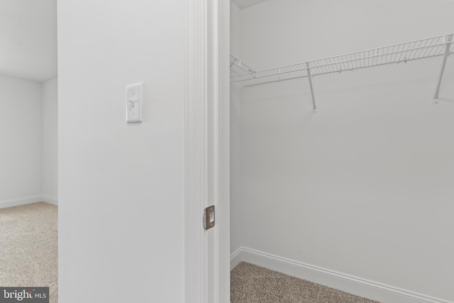 spacious closet featuring carpet flooring