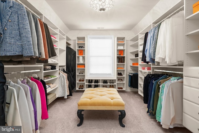 spacious closet with carpet flooring
