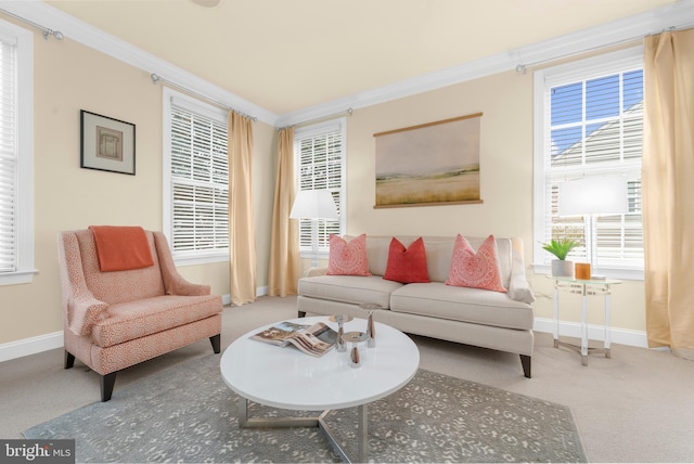 living area with crown molding, carpet flooring, and baseboards