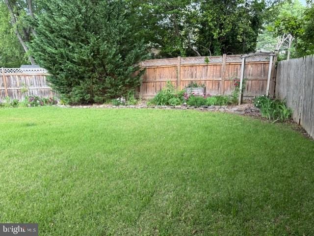 8916 Battery Rd, Alexandria, VA 22308 - view of yard