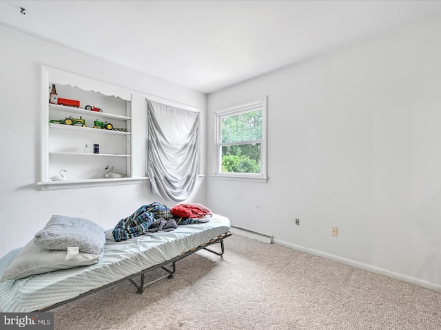24 Keeler Ave, Stevens, PA 17578 - sitting room with carpet and a baseboard radiator