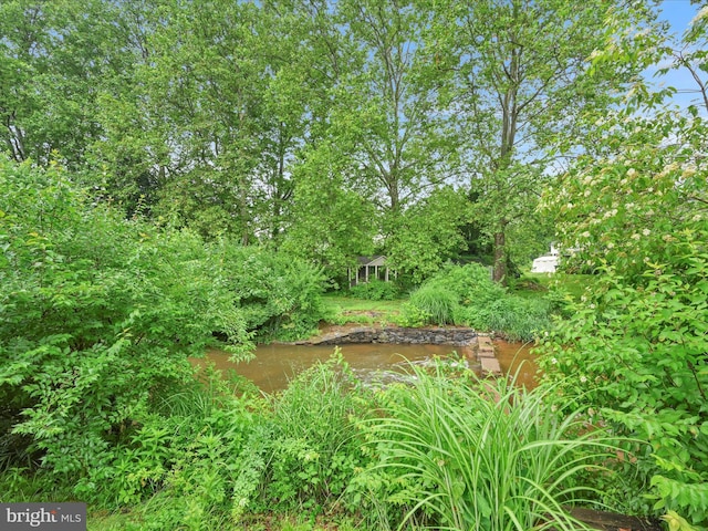 24 Keeler Ave, Stevens, PA 17578 - view of nature