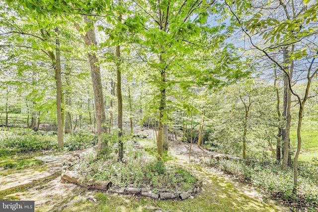 11378 Cromwell Ct, Woodbridge, VA 22192 - view of landscape with a wooded view