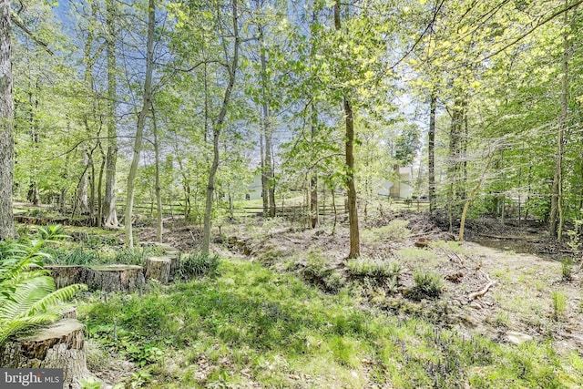 11378 Cromwell Ct, Woodbridge, VA 22192 - view of local wilderness