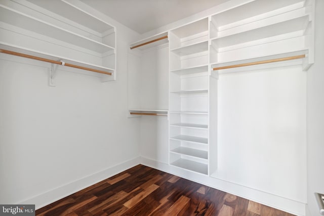 spacious closet featuring dark wood-style floors