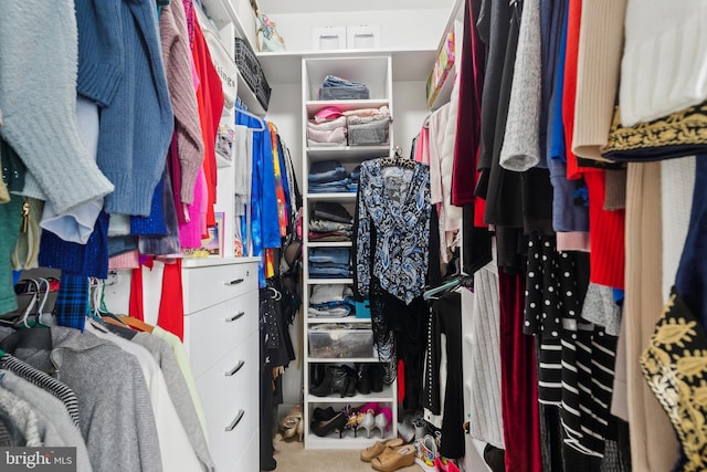 812 Lincoln Rd, Mullica Hill, NJ 08062 - spacious closet featuring carpet floors