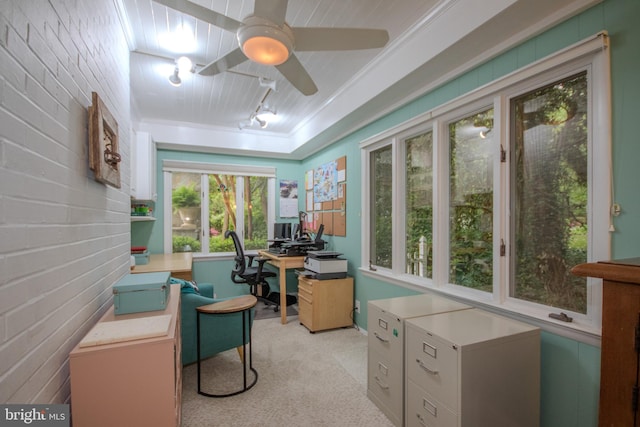 1511 Camden Ave, Salisbury, MD 21801 - home office featuring ceiling fan, rail lighting, and light carpet