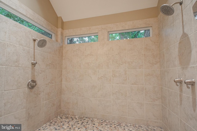 1511 Camden Ave, Salisbury, MD 21801 - bathroom featuring tiled shower and vaulted ceiling