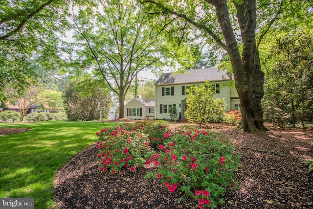 1511 Camden Ave, Salisbury, MD 21801 - view of green lawn