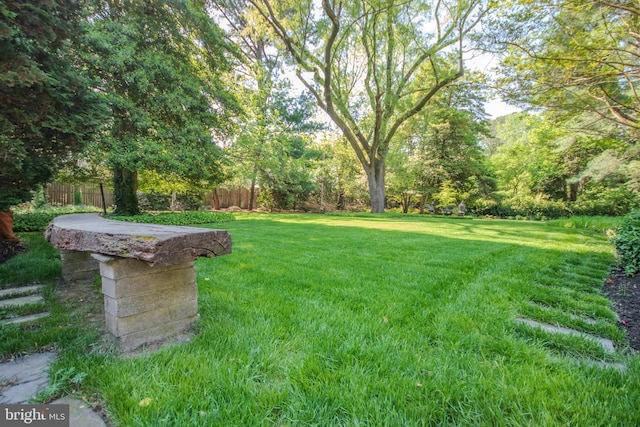 1511 Camden Ave, Salisbury, MD 21801 - view of yard
