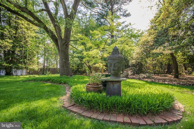 1511 Camden Ave, Salisbury, MD 21801 - view of yard