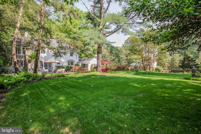 1511 Camden Ave, Salisbury, MD 21801 - view of grassy yard