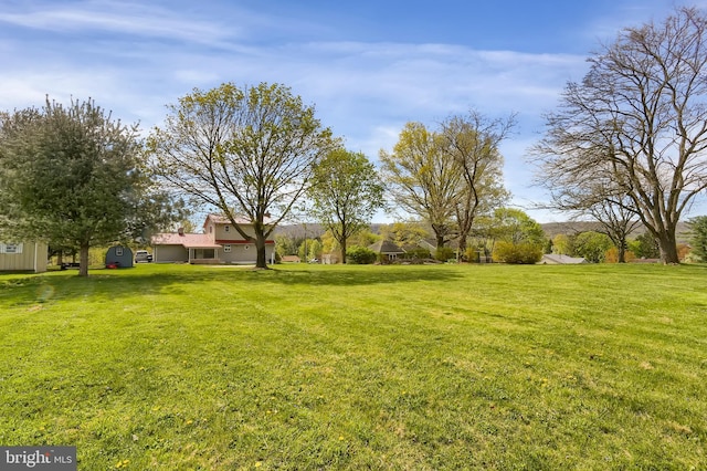 view of yard