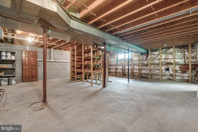 3903 Thrasher Ct, Monrovia, MD 21770 - view of below grade area