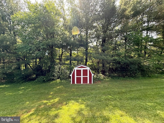 view of grassy yard