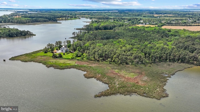 129 Kirwans Landing Ln, Chester, MD 21619 - drone / aerial view of a large body of water