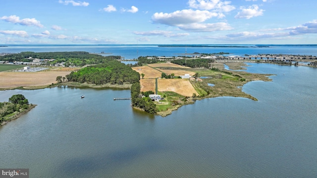 129 Kirwans Landing Ln, Chester, MD 21619 - aerial view of a nearby body of water