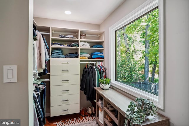 view of walk in closet