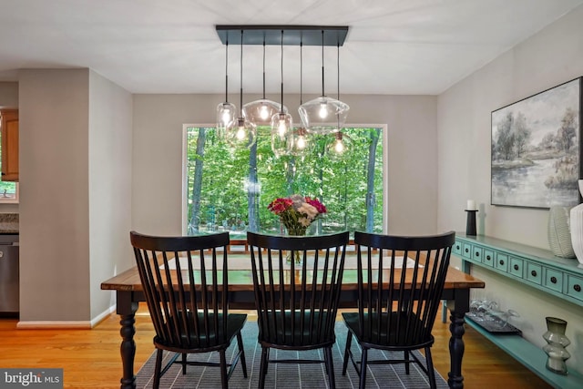 dining room with baseboards and light wood-type flooring