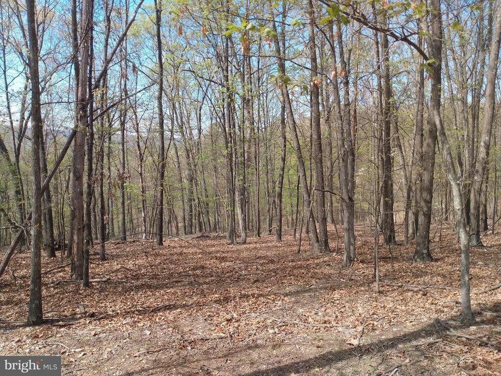 LOT83 Roundtop Ln, Berkeley Springs, WV 25411