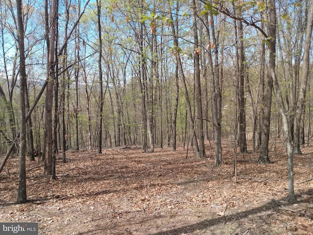 LOT83 Roundtop Ln, Berkeley Springs, WV 25411