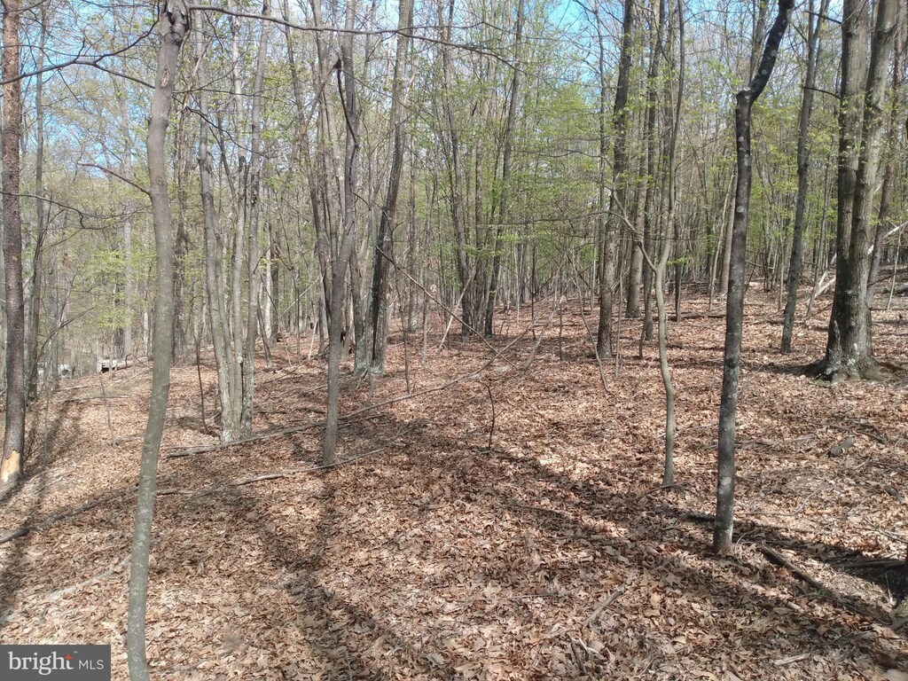 LOT83 Roundtop Ln, Berkeley Springs, WV 25411