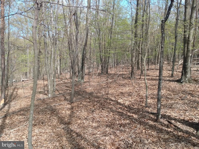 LOT83 Roundtop Ln, Berkeley Springs, WV 25411