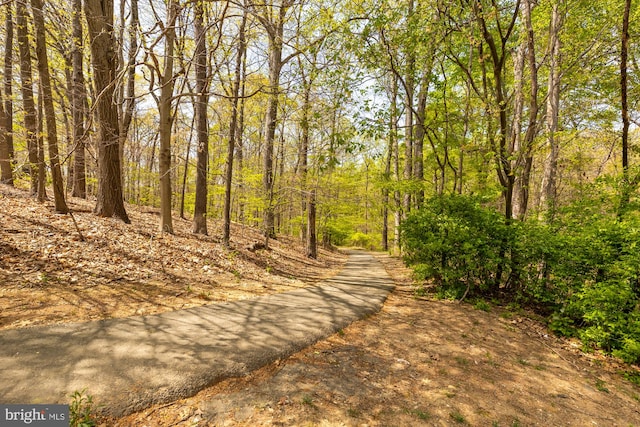 view of road with a wooded view