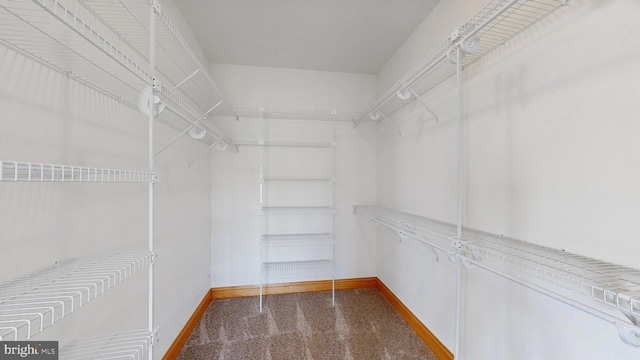 28342 Discount Land Rd, Laurel, DE 19956 - walk in closet with carpet flooring