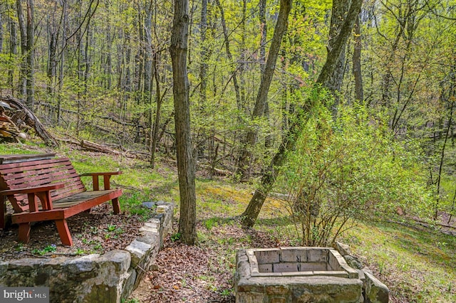 view of yard featuring a forest view