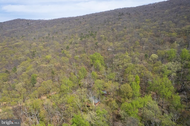 bird's eye view featuring a mountain view and a wooded view